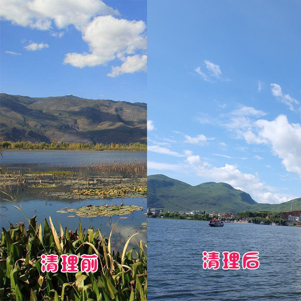 洱?？蛻艉此萸謇硇Ч故? title=